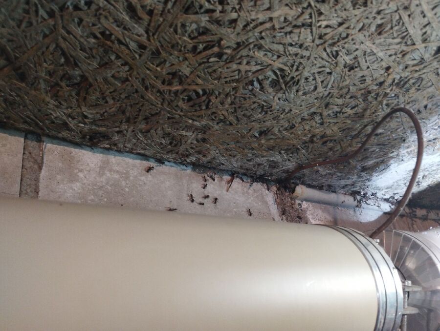 desinfestateur exterminateur-Chigny-Einsatzvorbereitung.jpeg