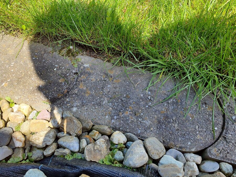 desinfestateur exterminateur-Clarmont-Einsatzvorbereitung.jpeg