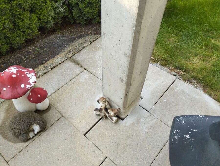 desinfestateur exterminateur-Confignon-Einsatzvorbereitung.jpeg