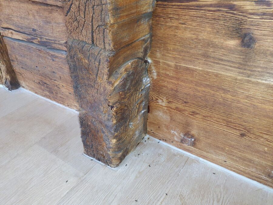 desinfestateur exterminateur-Commugny-Einsatzvorbereitung.jpeg