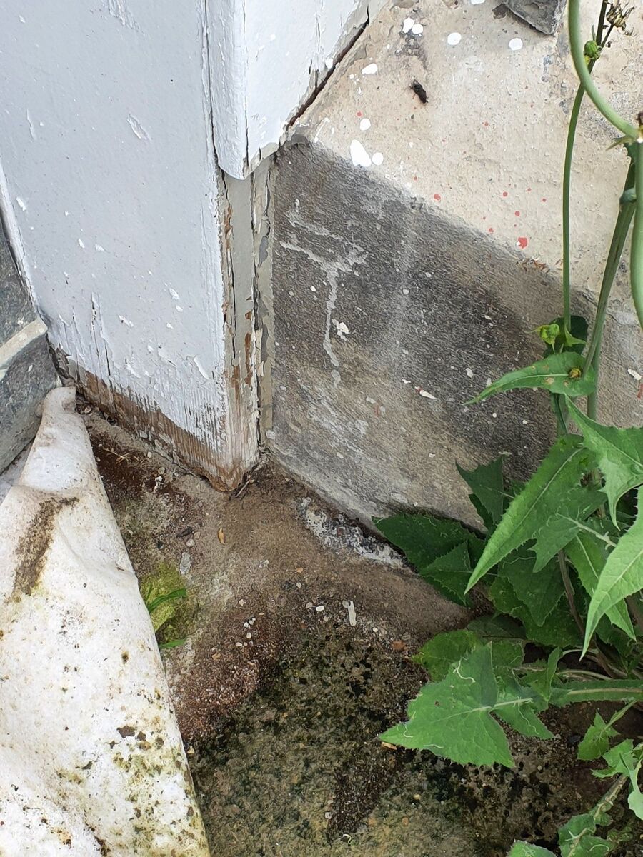 desinfestateur exterminateur-Corcelles-près-Concise-Einsatzvorbereitung.jpeg