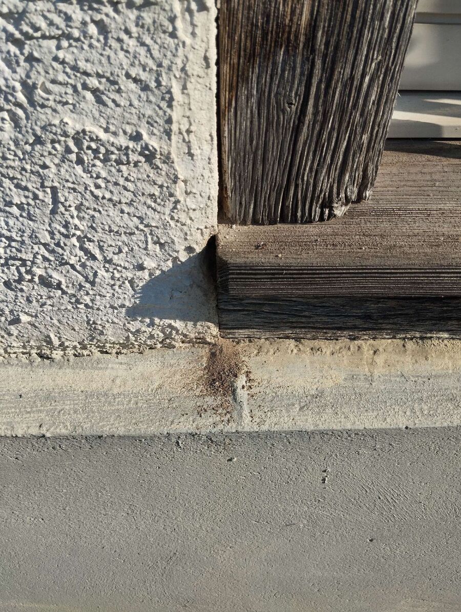 desinfestateur exterminateur-Crassier-Einsatzvorbereitung.jpeg