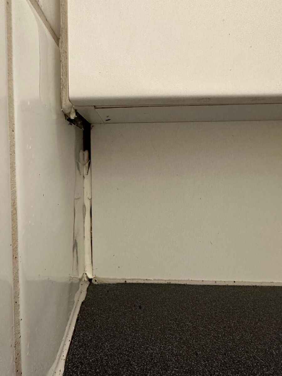 desinfestateur exterminateur-Cuarnens-Einsatzvorbereitung.jpeg