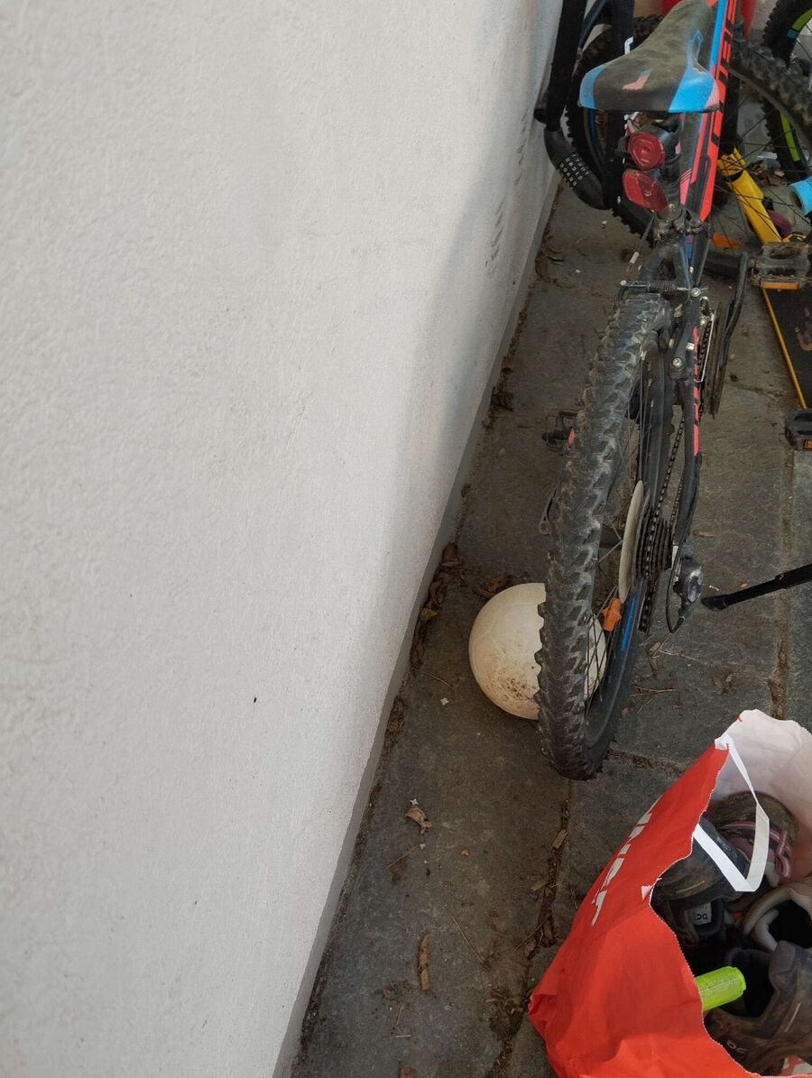 desinfestateur exterminateur-Daillens-Einsatzvorbereitung.jpeg