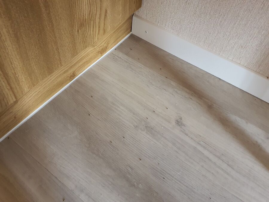 desinfestateur exterminateur-Dompierre (VD)-Einsatzvorbereitung.jpeg