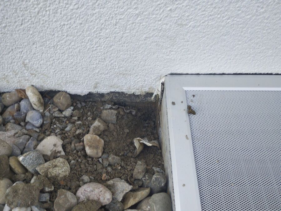 desinfestateur exterminateur-Donneloye-Einsatzvorbereitung.jpeg