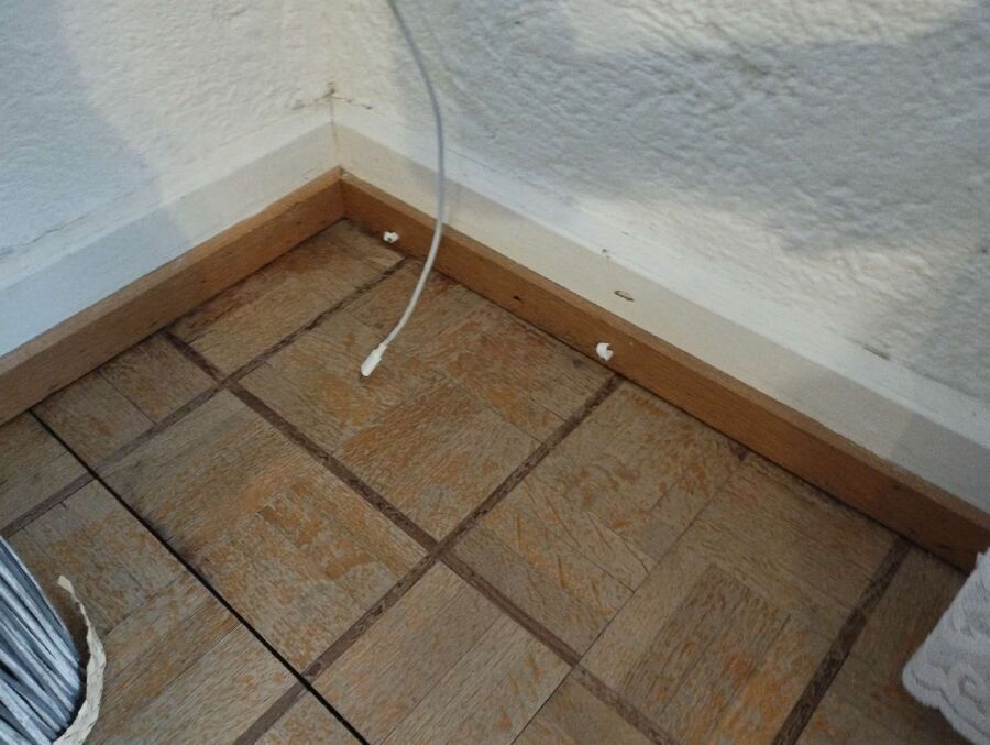 desinfestateur exterminateur-Genève-Einsatzvorbereitung.jpeg