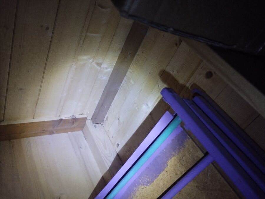 desinfestateur exterminateur-Echandens-Einsatzvorbereitung.jpeg