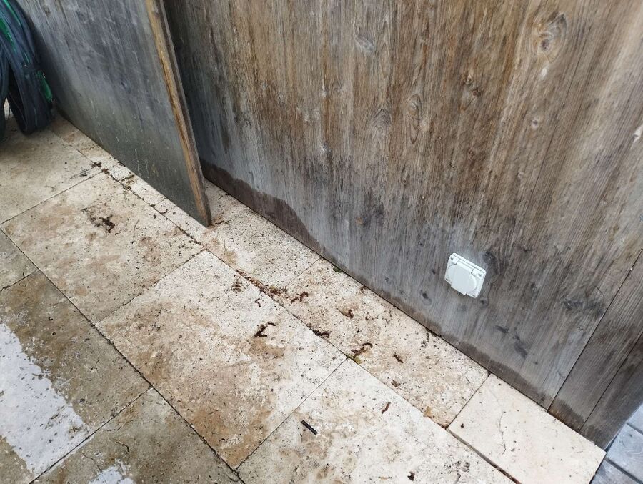 desinfestateur exterminateur-Ferreyres-Einsatzvorbereitung.jpeg