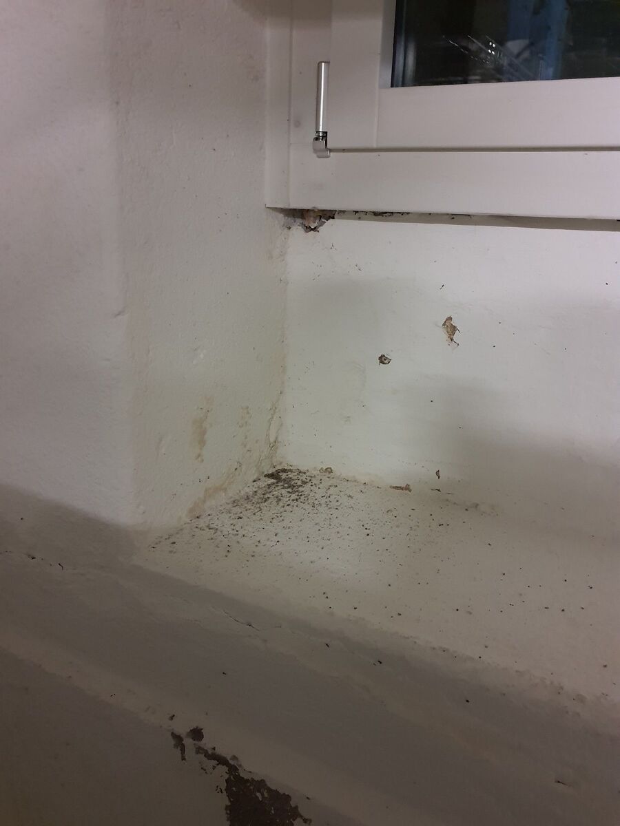 desinfestateur exterminateur-Fontaines-sur-Grandson-Einsatzvorbereitung.jpeg