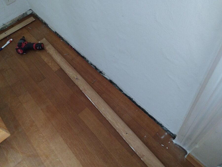 desinfestateur exterminateur-Founex-Einsatzvorbereitung.jpeg