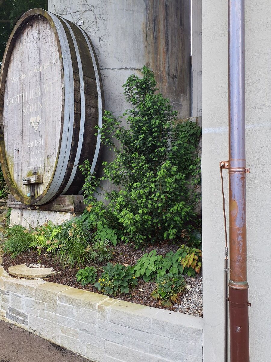 desinfestateur exterminateur-Giez-Einsatzvorbereitung.jpeg