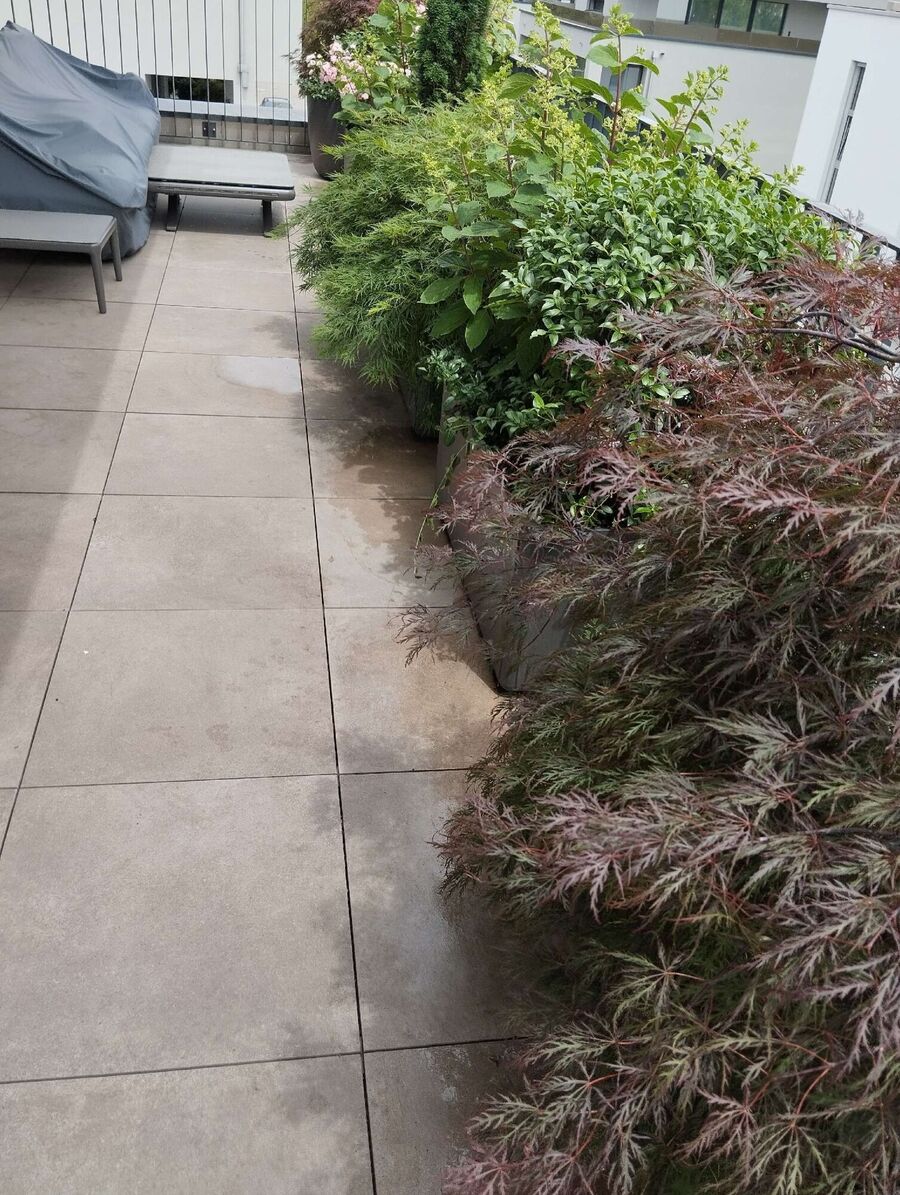 desinfestateur exterminateur-Gilly-Einsatzvorbereitung.jpeg