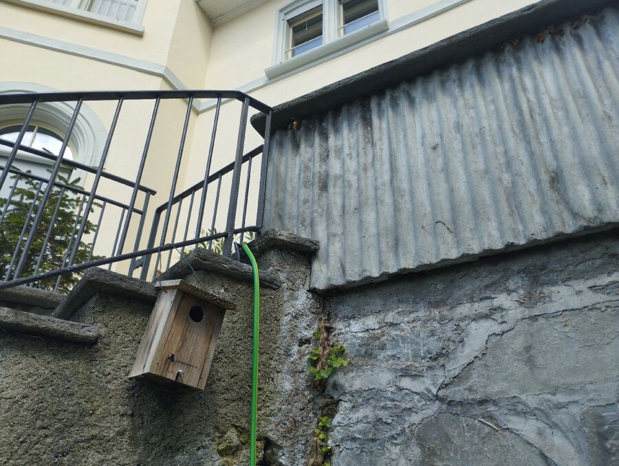 desinfestateur exterminateur-Givrins-Einsatzvorbereitung.jpeg