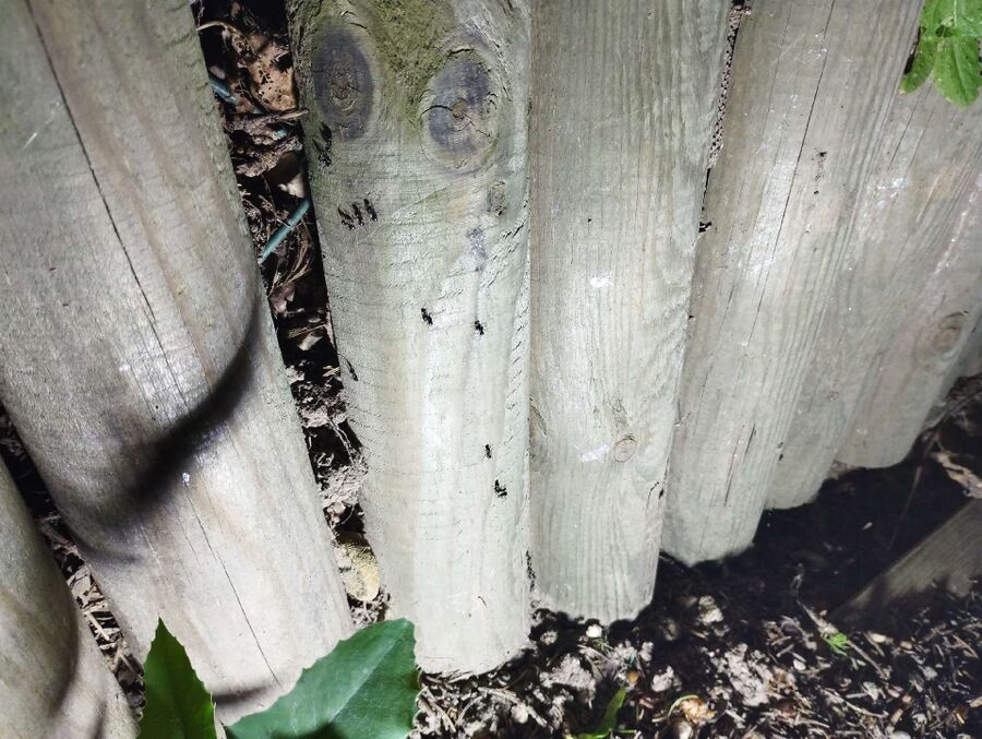 desinfestateur exterminateur-Gollion-Einsatzvorbereitung.jpeg