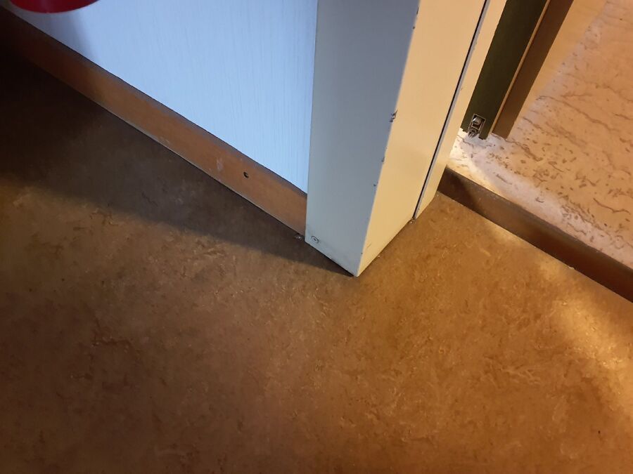 desinfestateur exterminateur-Grancy-Einsatzvorbereitung.jpeg