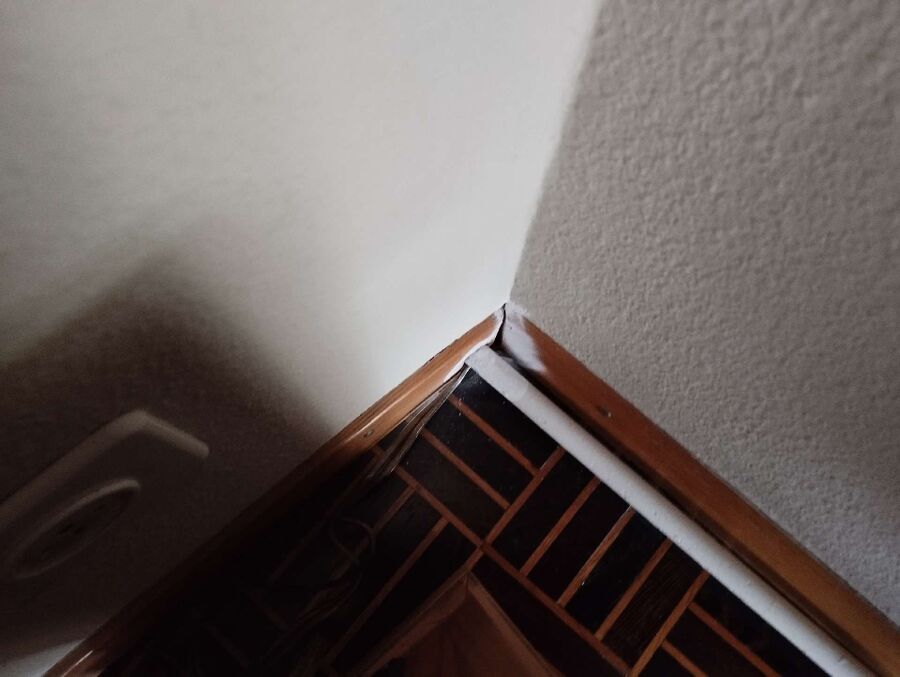 desinfestateur exterminateur-Jorat-Menthue-Einsatzvorbereitung.jpeg