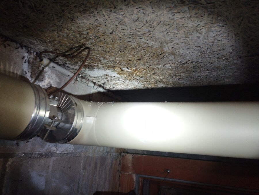 desinfestateur exterminateur-Jouxtens-Mézery-Einsatzvorbereitung.jpeg