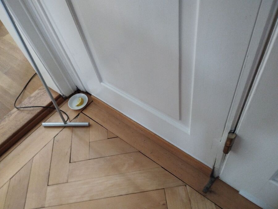 desinfestateur exterminateur-La Chaux (Cossonay)-Einsatzvorbereitung.jpeg