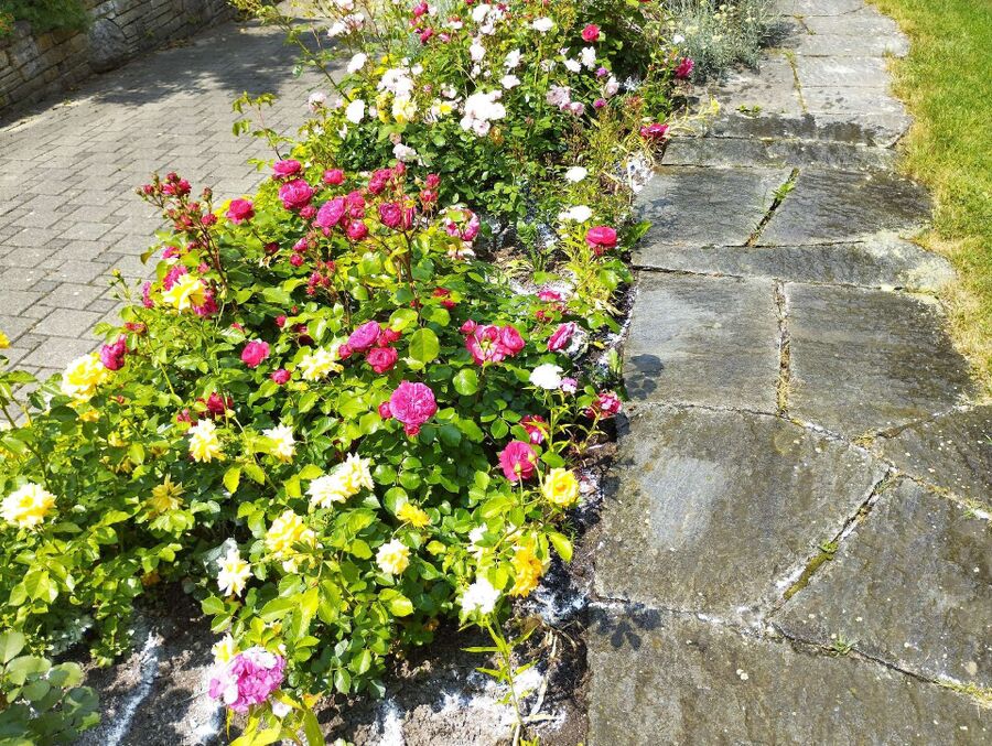 desinfestateur exterminateur-Lausanne-Einsatzvorbereitung.jpeg