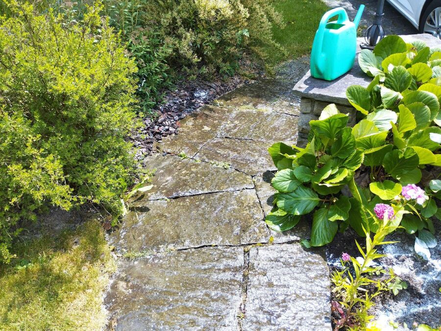 desinfestateur exterminateur-Le Lieu-Einsatzvorbereitung.jpeg