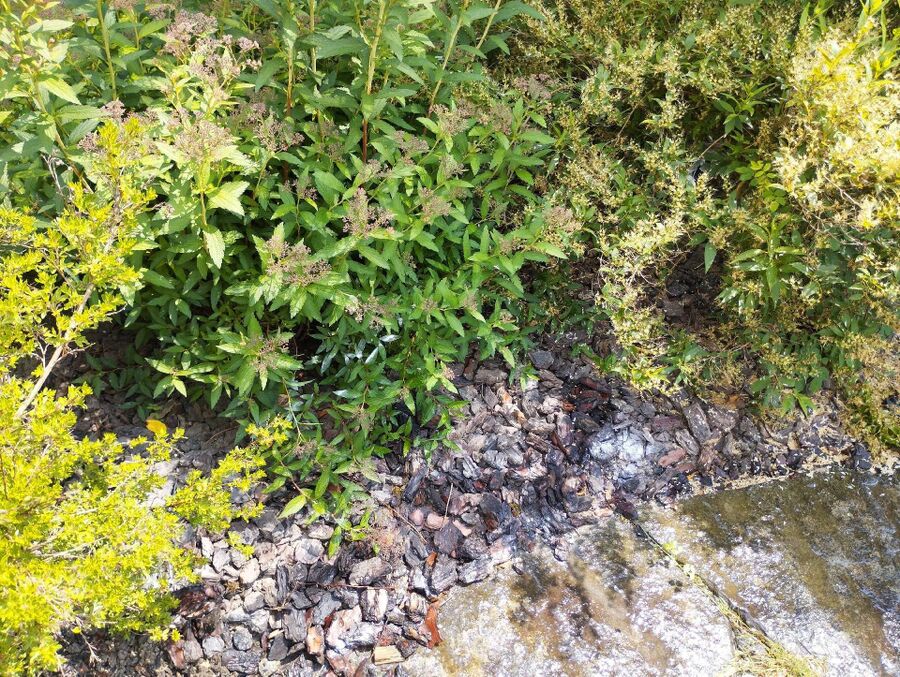 desinfestateur exterminateur-Le Mont-sur-Lausanne-Einsatzvorbereitung.jpeg
