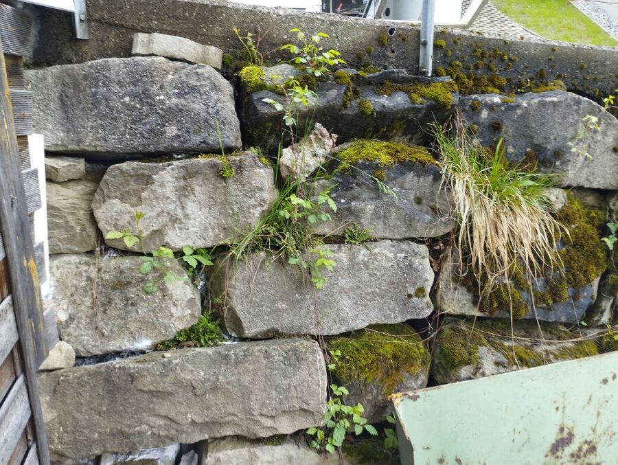 desinfestateur exterminateur-Lancy-Einsatzvorbereitung.jpeg