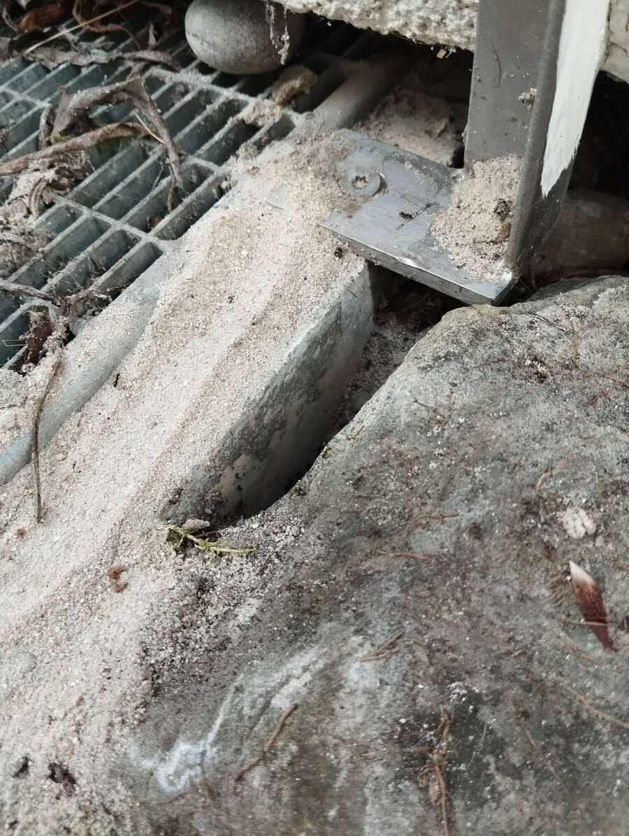 desinfestateur exterminateur-Longirod-Einsatzvorbereitung.jpeg