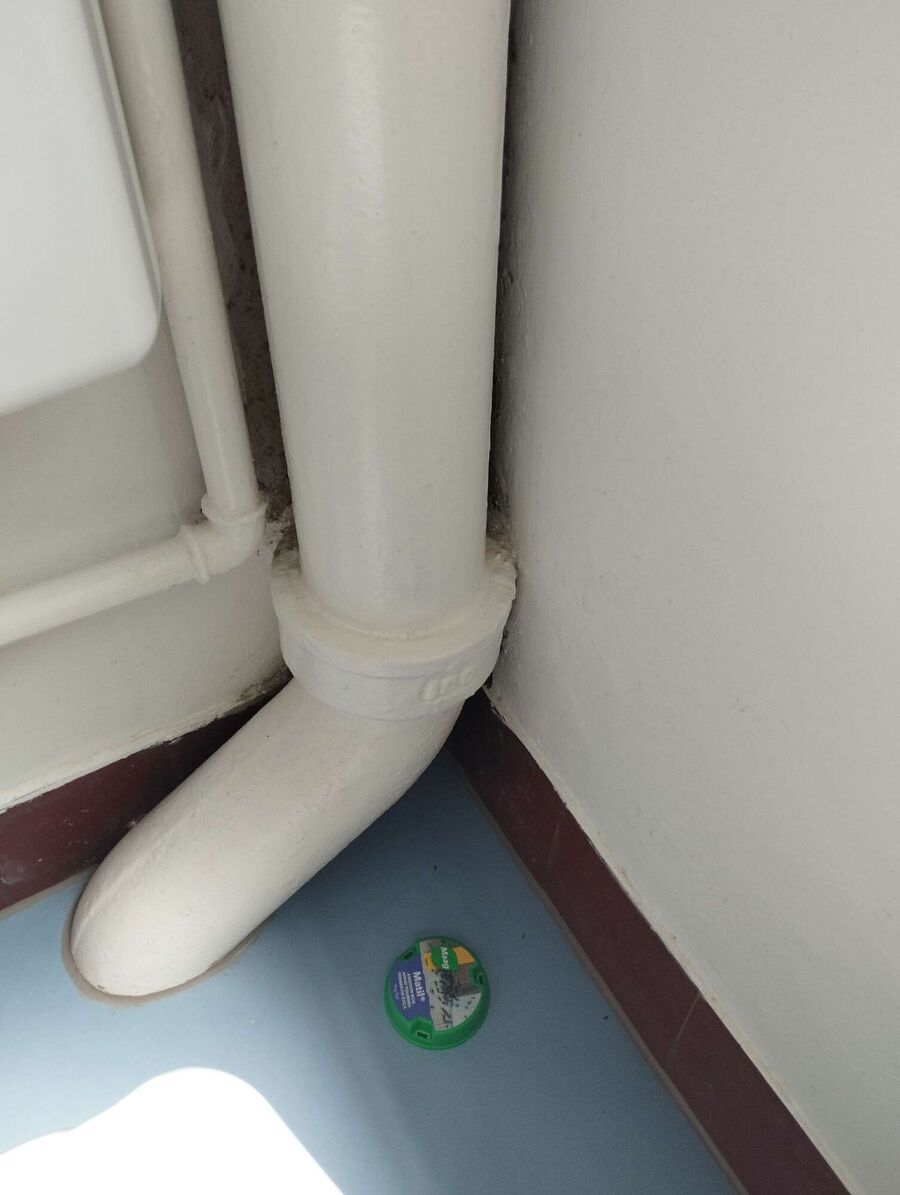 desinfestateur exterminateur-Lussery-Villars-Einsatzvorbereitung.jpeg