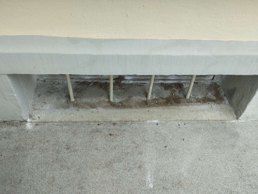 desinfestateur exterminateur-Lussy-sur-Morges-Einsatzvorbereitung.jpeg