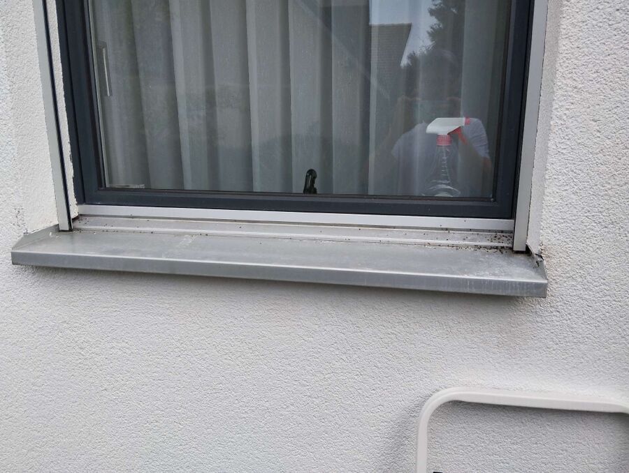 desinfestateur exterminateur-Lutry-Einsatzvorbereitung.jpeg