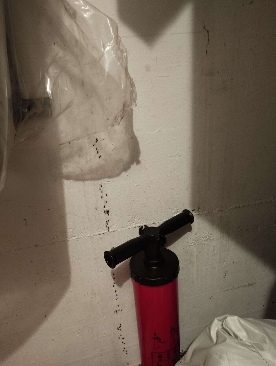 desinfestateur exterminateur-Maracon-Einsatzvorbereitung.jpeg