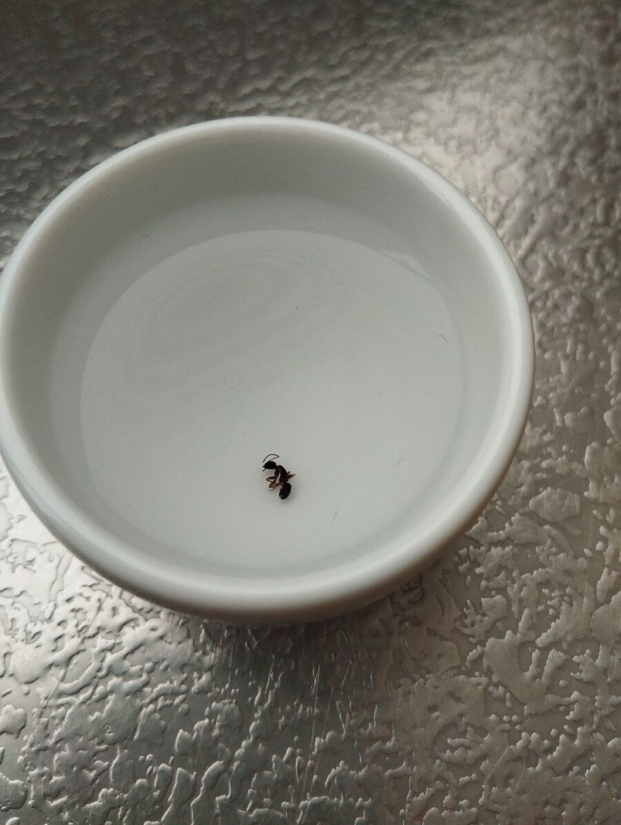 desinfestateur exterminateur-Mathod-Einsatzvorbereitung.jpeg