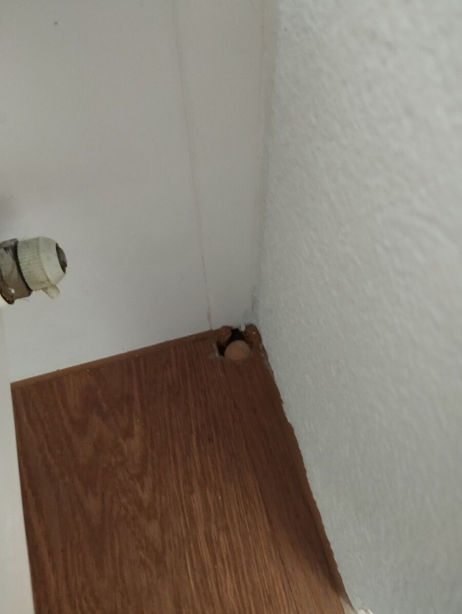 desinfestateur exterminateur-Mauborget-Einsatzvorbereitung.jpeg