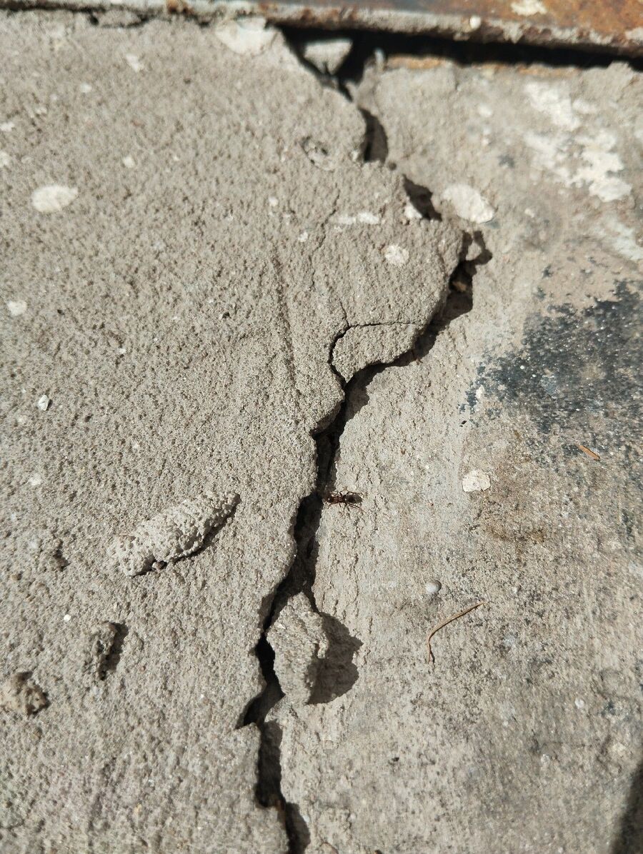 desinfestateur exterminateur-Mies-Einsatzvorbereitung.jpeg