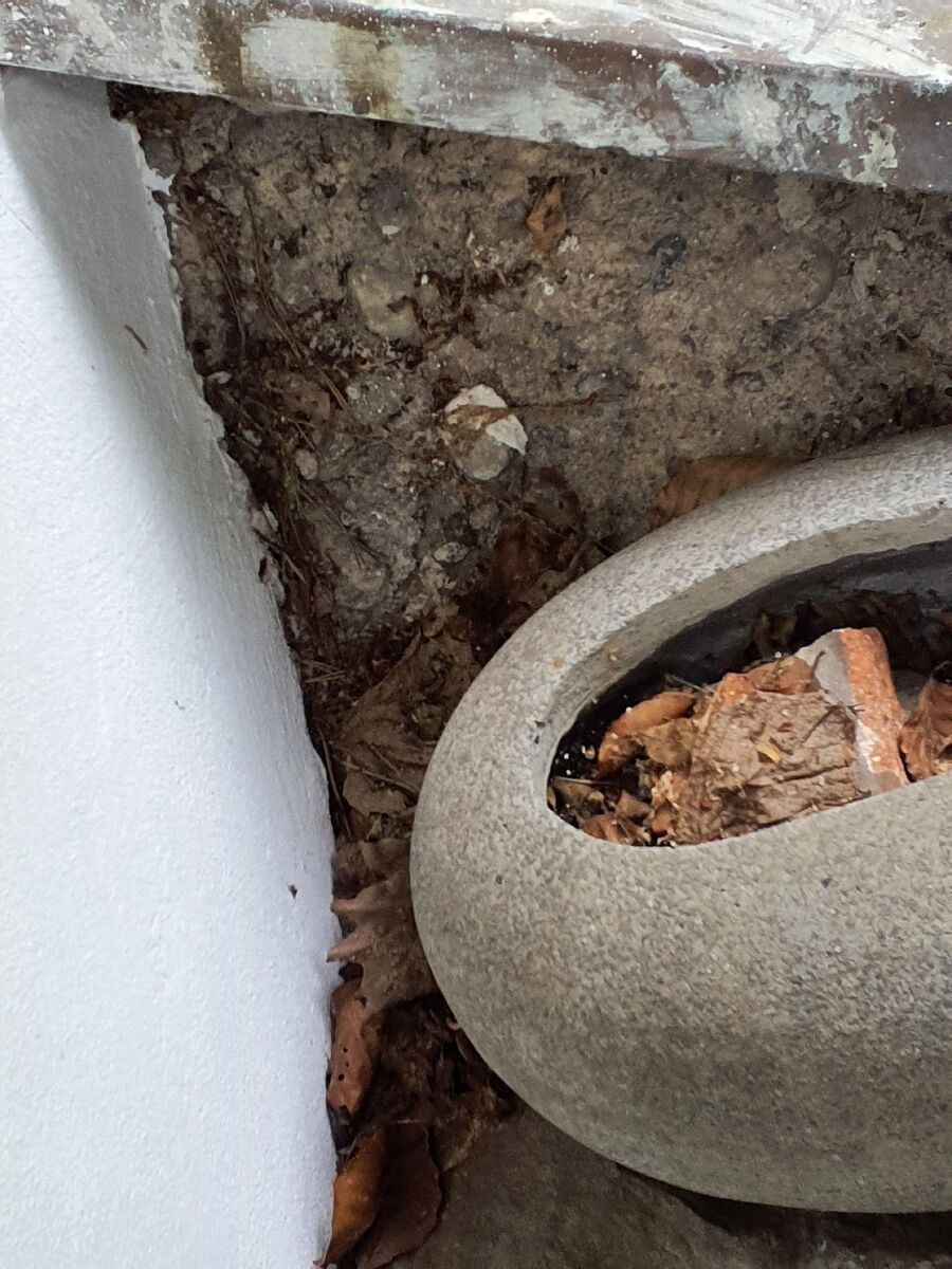 desinfestateur exterminateur-Missy-Einsatzvorbereitung.jpeg