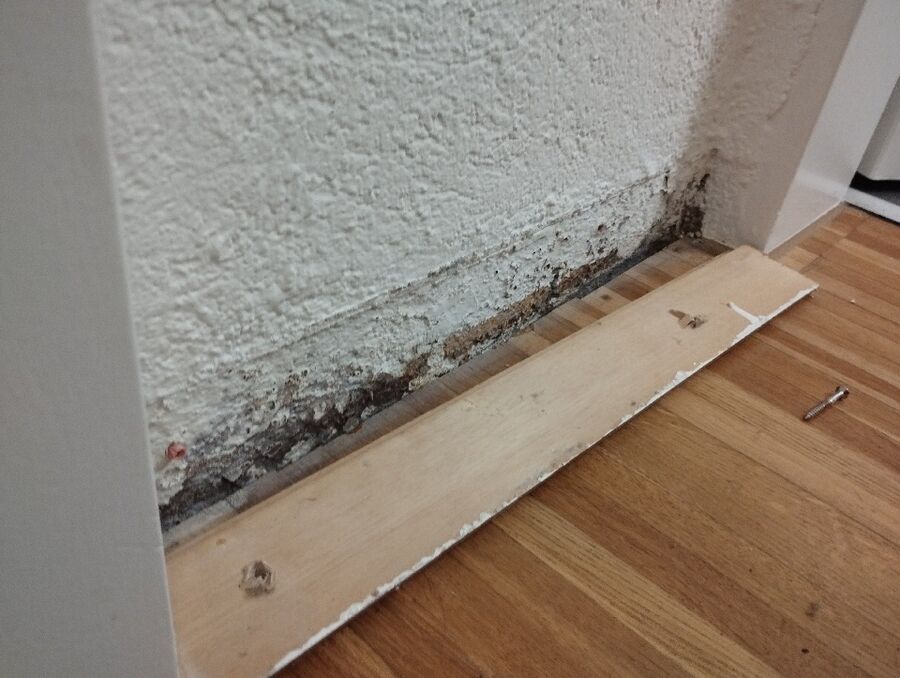 desinfestateur exterminateur-Mollens (VD)-Einsatzvorbereitung.jpeg