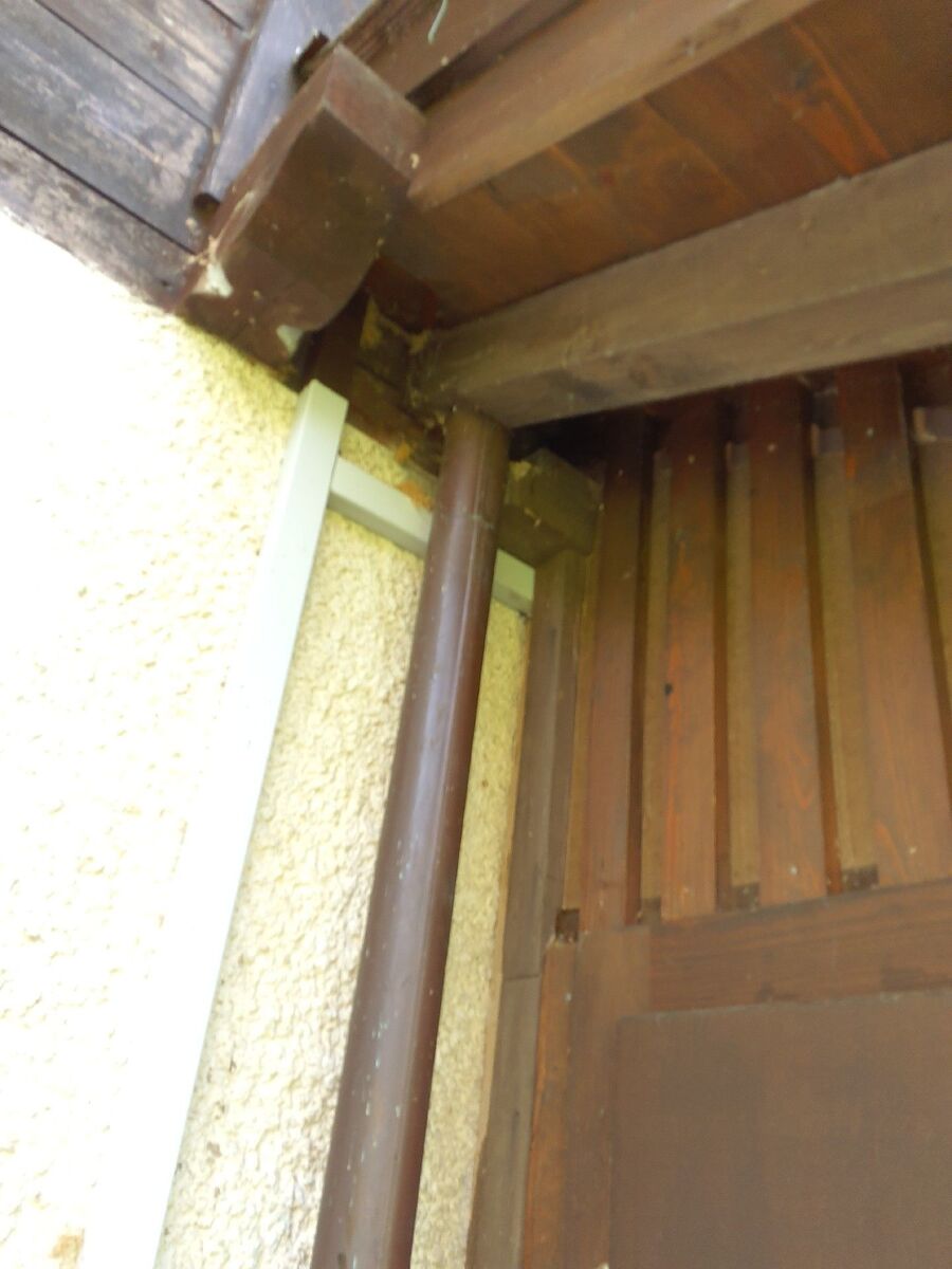 desinfestateur exterminateur-Montpreveyres-Einsatzvorbereitung.jpeg