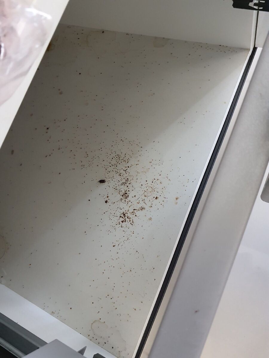 desinfestateur exterminateur-Mont-sur-Rolle-Einsatzvorbereitung.jpeg