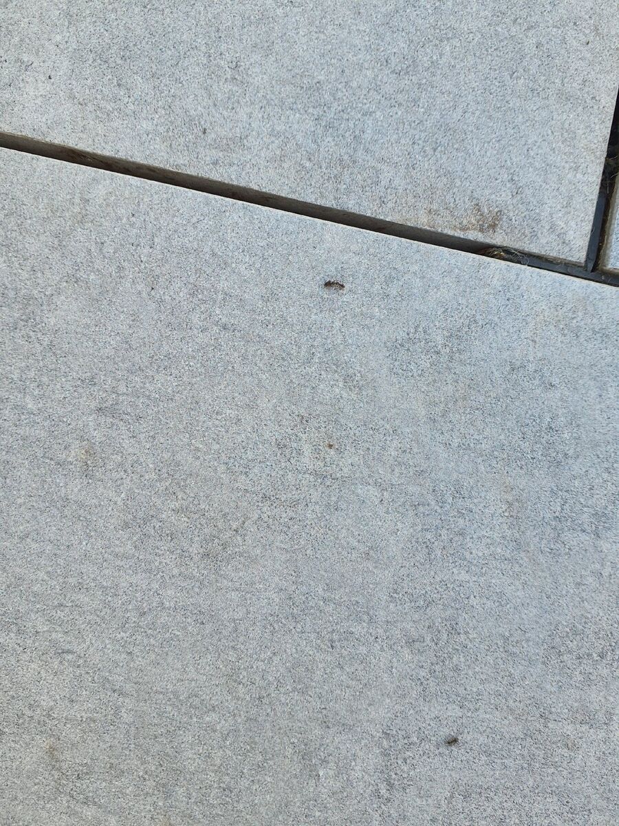 desinfestateur exterminateur-Morges-Einsatzvorbereitung.jpeg