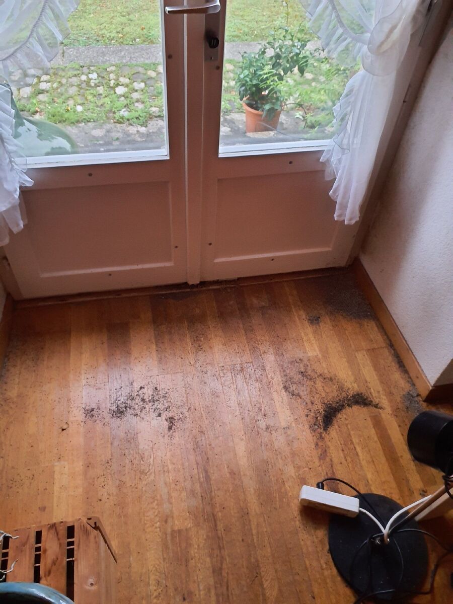 desinfestateur exterminateur-Novalles-Einsatzvorbereitung.jpeg