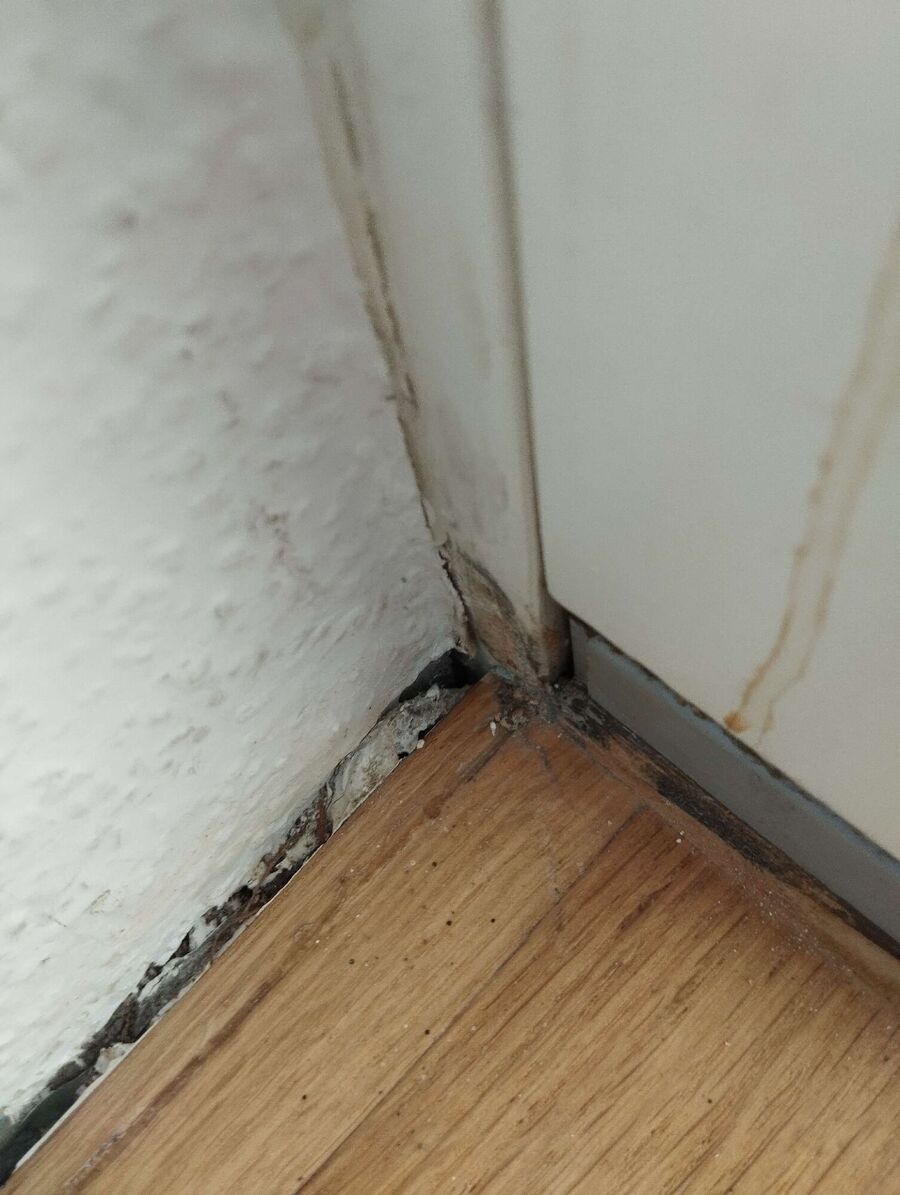 desinfestateur exterminateur-Ogens-Einsatzvorbereitung.jpeg