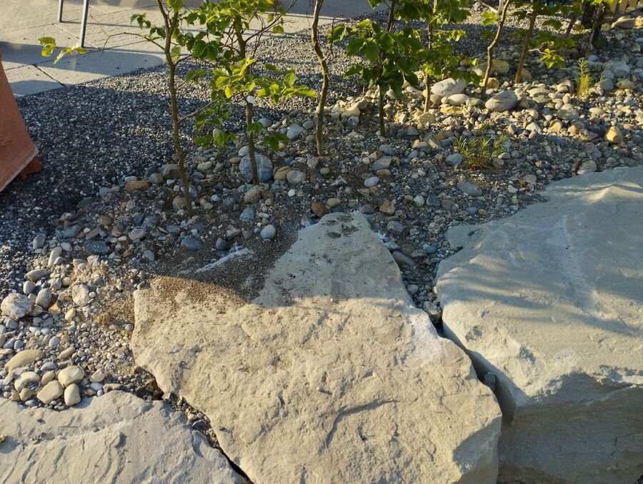 desinfestateur exterminateur-Ollon-Einsatzvorbereitung.jpeg