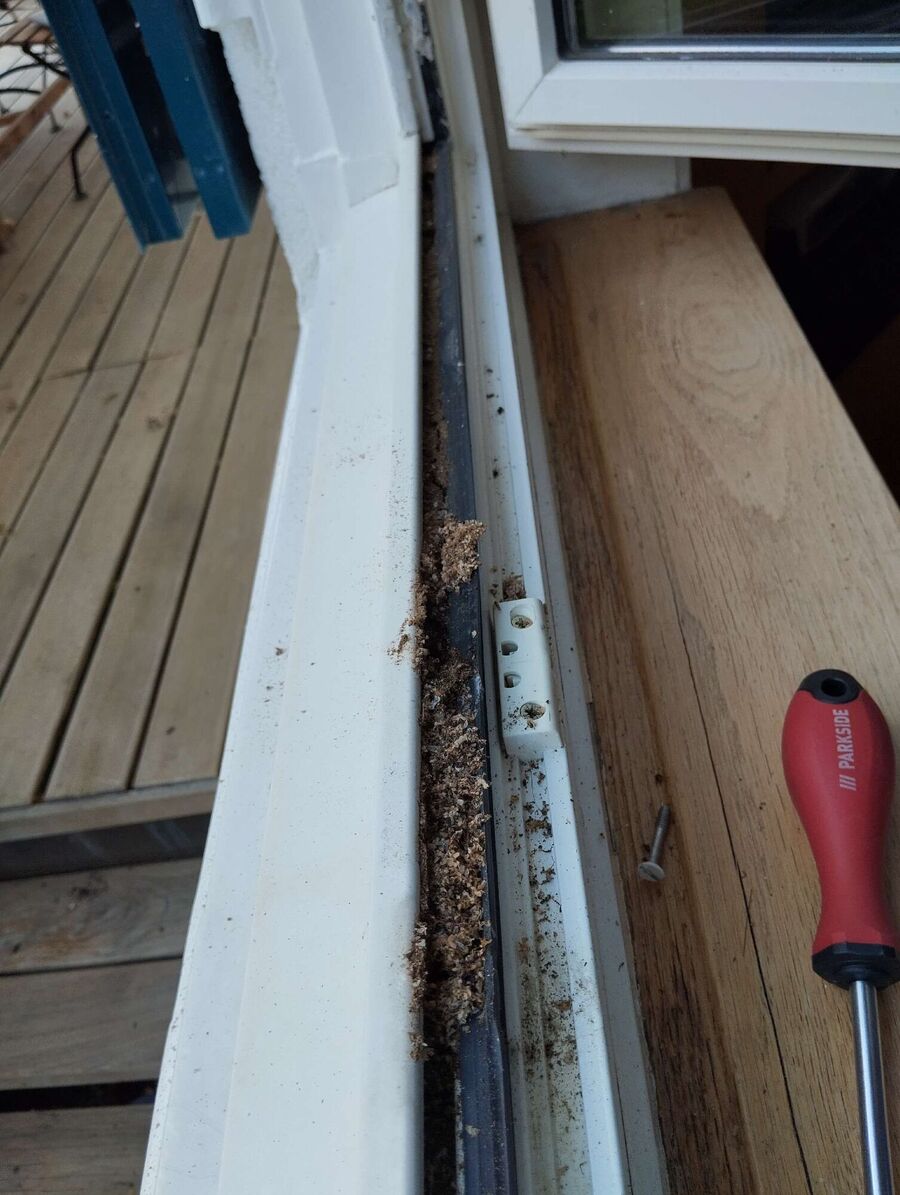 desinfestateur exterminateur-Ormont-Dessous-Einsatzvorbereitung.jpeg