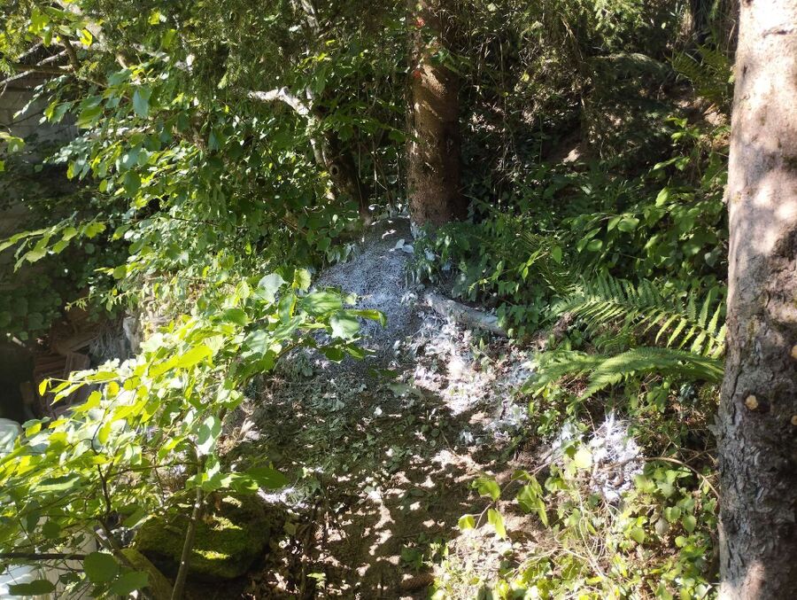 desinfestateur exterminateur-Ormont-Dessus-Einsatzvorbereitung.jpeg