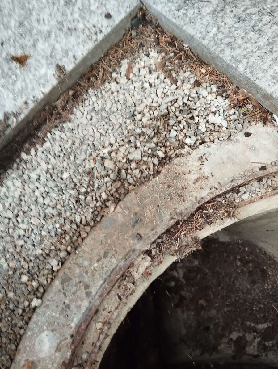 desinfestateur exterminateur-Oron-Einsatzvorbereitung.jpeg