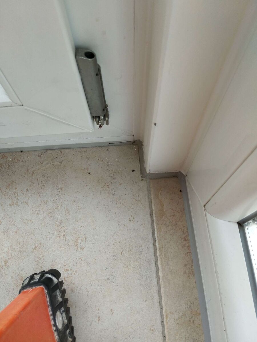 desinfestateur exterminateur-Oulens-sous-Echallens-Einsatzvorbereitung.jpeg