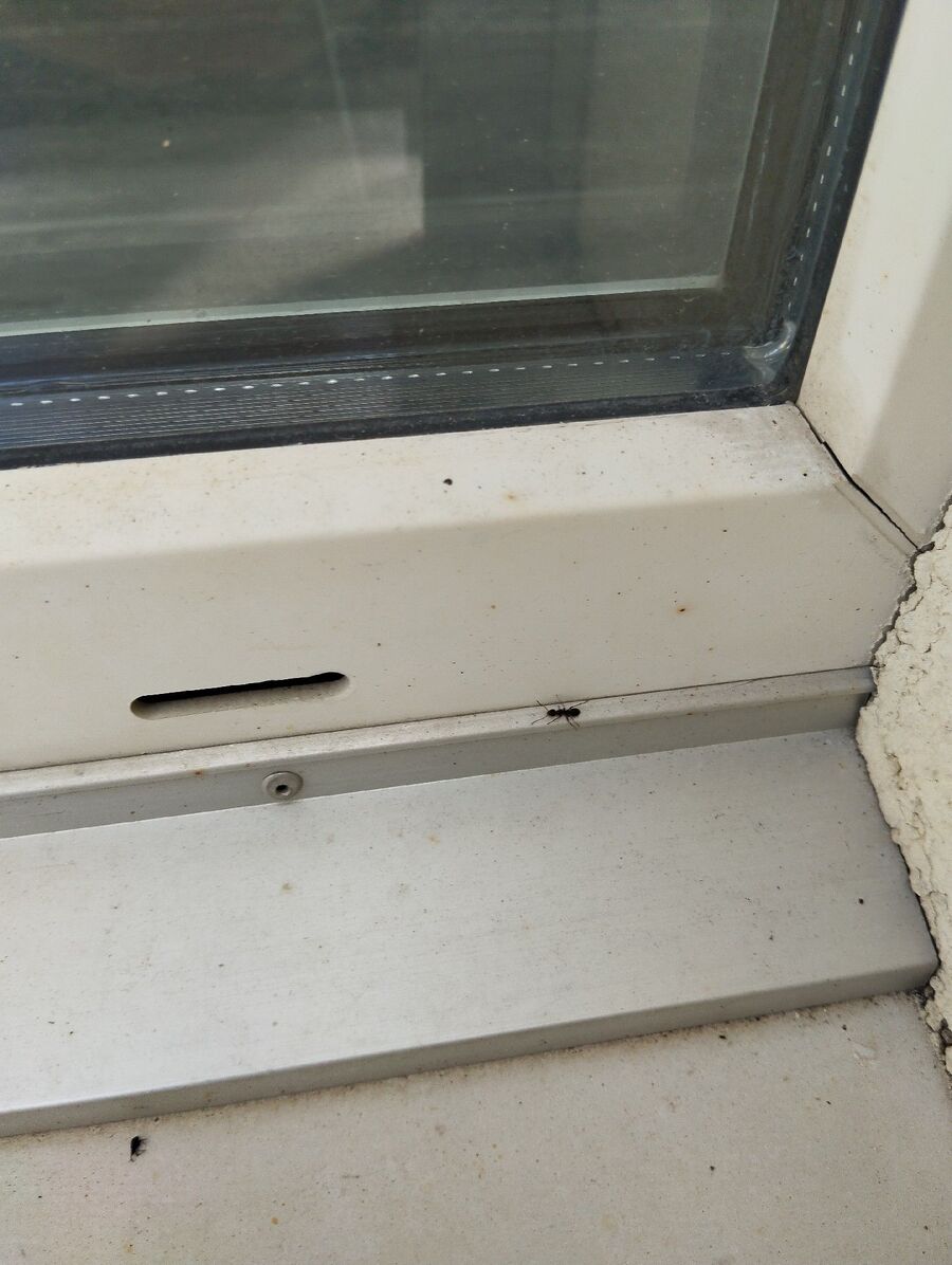 desinfestateur exterminateur-Poliez-Pittet-Einsatzvorbereitung.jpeg