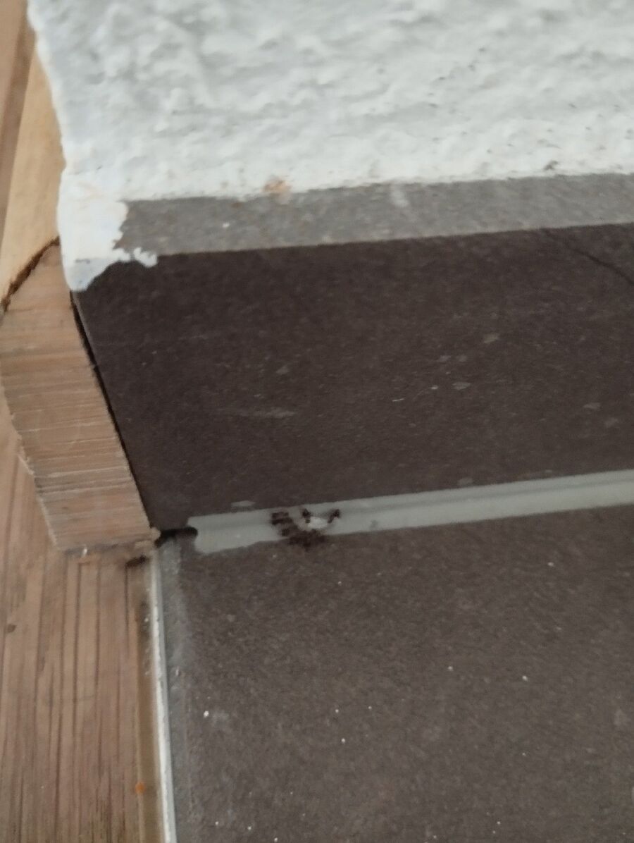 desinfestateur exterminateur-Pomy-Einsatzvorbereitung.jpeg