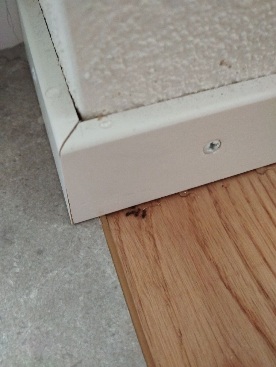 desinfestateur exterminateur-Prangins-Einsatzvorbereitung.jpeg